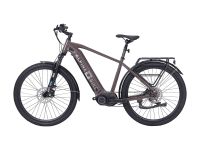 Электровелосипед Alpine Bike Alpinebike Dammastock, год 2025, цвет Коричневый, ростовка 20