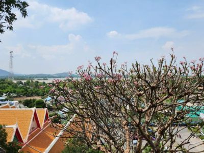 Якутия вошла в топ регионов по интересу к сайтам авиакомпаний перед майскими