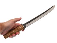 Мачете Шикотан, Витязь