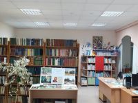 Большебрусянская сельская библиотека