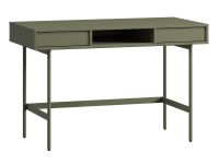 Письменный стол Эрлин-1 120x60 Оливковый