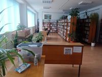 Губская сельская библиотека