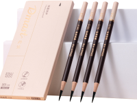 Набор угольных карандашей Dmast 10 штук ассорти в картонной упаковке