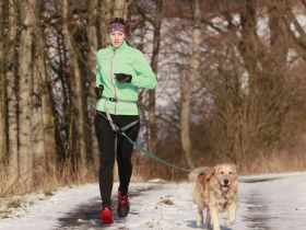 Обвязки спортивные Canicross