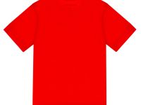 Фуфайка детская трикотажная для мальчиков (футболка)