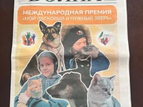 Глава СЖР Владимир Соловьёв вручил награды калининградским журналистам