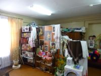 Центральная библиотека Костромского района