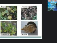 Международный вебинар "Защита декоративных цветочных культур от болезней в открытом и защищенном грунте. Комплексная защита декоративных культур от вредителей, болезней и неблагоприятных метеорологических условий"