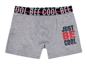 Трусы - боксеры, 3 шт. в комплекте для мальчика