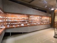 Музейно-выставочный центр «Апатит»