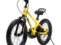 Детский велосипед Royal Baby Freestyle EZ 16, год 2023, цвет Зеленый