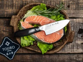 Кухонный нож Деба мини Tojiro Flash FF-DE105, сталь VG-10, рукоять микарта, черный