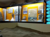 Котельничский палеонтологический музей