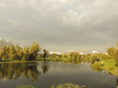 Усадьба Чернево