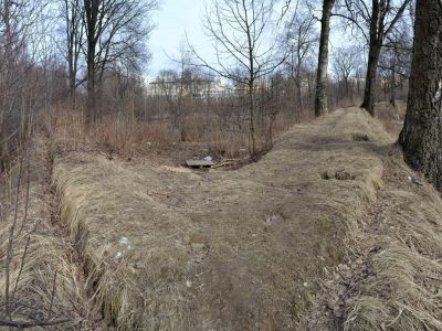 Земляная крепость «Осиновая Роща»