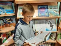 Детская библиотека № 12 г. Тольятти