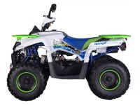 Квадроцикл ROCKOT Hammer 200 Premium