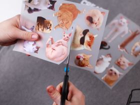 Термопринты Пак коты