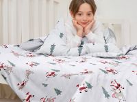 Постельное белье детское Magic Sleigh