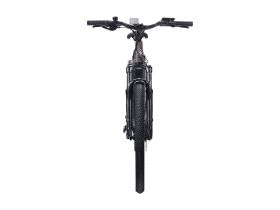 Электровелосипед Alpine Bike Dammastock, год 2025, цвет Коричневый, ростовка 18