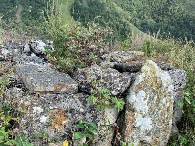 Стела № 15 раннемусульманского кладбища № 2 архитектурного комплекса "Мусийкъонгийкоте"