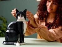 Ideas 21349 Конструктор Чёрно-белый кот