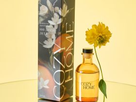 Диффузор Сто дней лета 100 мл