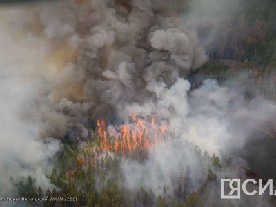 В семи районах Приморья установили высокий класс пожароопасности в лесах