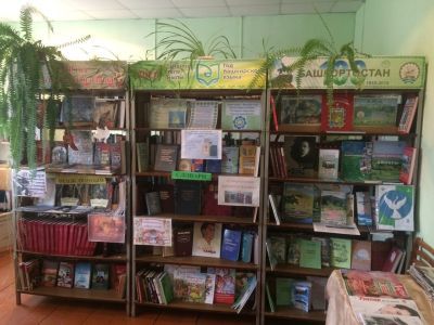 Трушинская сельская библиотека