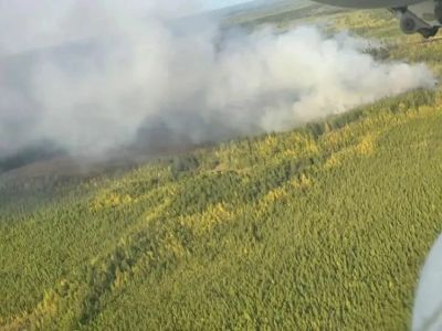 Лесной пожар возник в Хангаласском районе из-за неосторожного обращения с огнем
