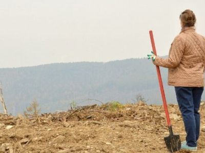 Заброшенные поля будет проще изымать