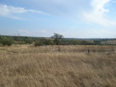 Памятное место, где в январе 1942 г. находился партизанский аэродром, который принимал авиадесант