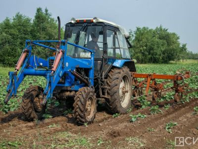 Более 50 тысяч гектаров составит посевная площадь в Якутии