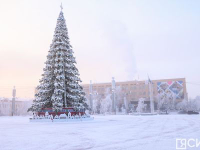 Установка главной елки на площади Республики в Якутске начнется 5 ноября