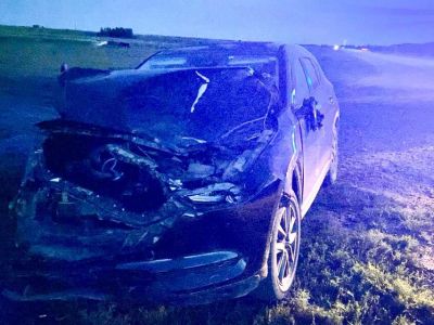 Табун лошадей протаранили на автомобиле в Хангаласском районе