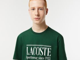 Мужская футболка Lacoste стандартного кроя