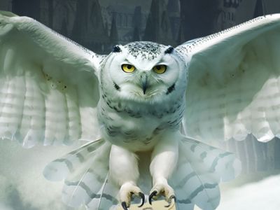 Гарри Поттер. Оркестр Sonorus