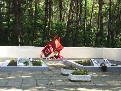 Братская могила воинов Советской Армии, павших в бою с немецко- фашистскими захватчиками в 1941-1943 гг. Захоронено и установлено фамилий 20 человек