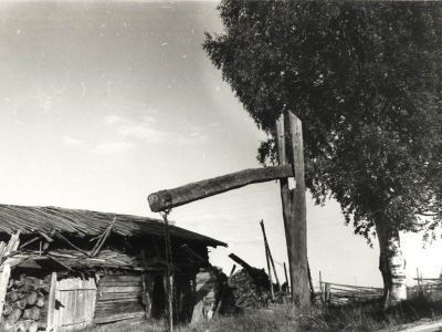 Колодец О.А. Сосновой