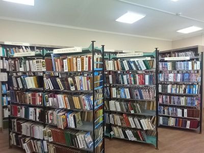 Большесальская библиотека № 2