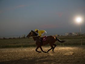 Якутский кинопродюсер спас скакуна от убоя и сделал его главной звездой фильма