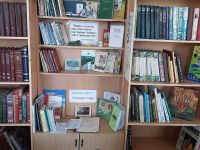 Теплогорская библиотека