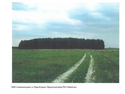 Священная роща