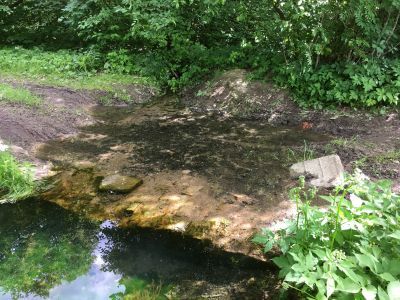 Мостик в Артемьевской части парка (№ 1)