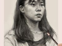 Набор угольных карандашей Dmast 10 штук ассорти в картонной упаковке