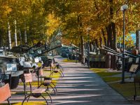 Музей техники Вадима Задорожного