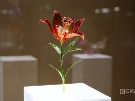 В Якутске открылась выставка Маргариты Зиминой «Цветы России»