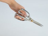 Ножницы кухонные Сильветро/Silvetro I