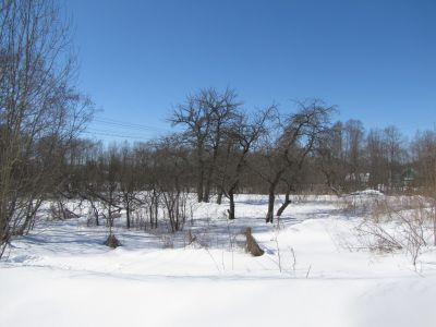 Родина русского авиатора М.Н. Ефимова (1881-1919 гг.)