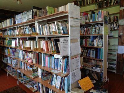 Тинская сельская библиотека